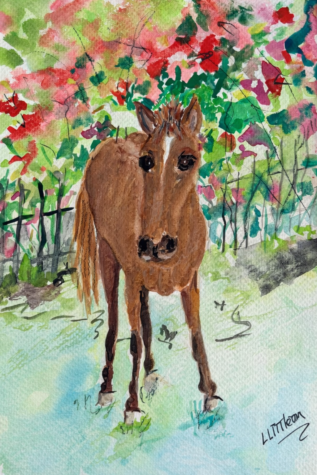 Vieques Horse