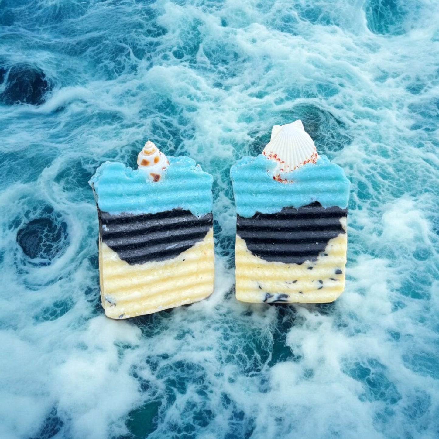 A Gift from the Ocean