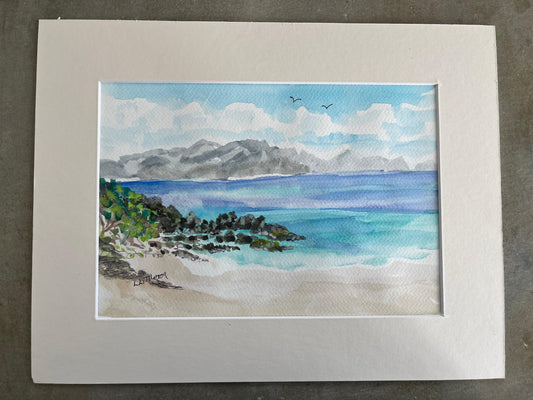 Silent Shores of Vieques