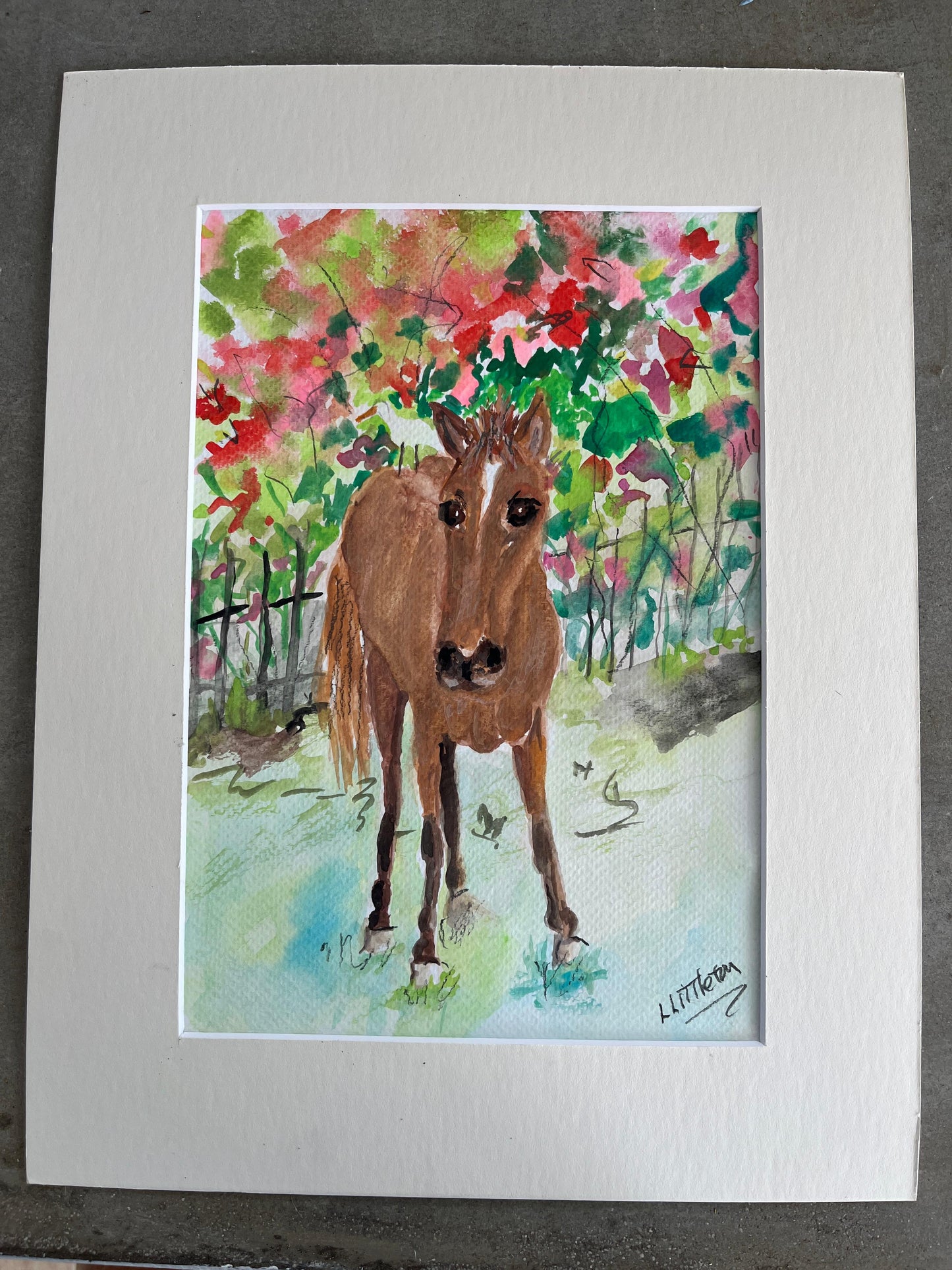 Vieques Horse