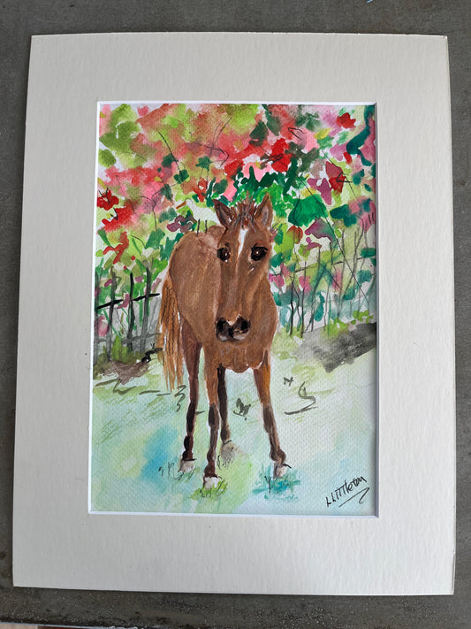 Vieques Horse